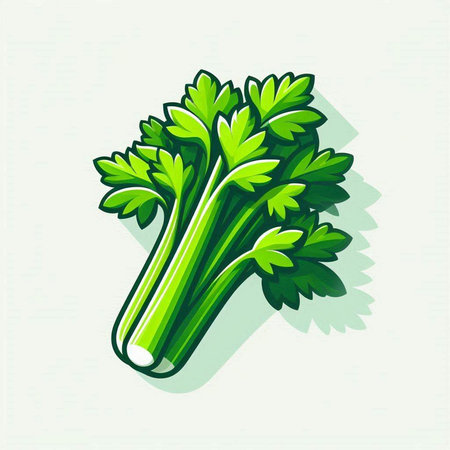 Celery isolated on white background. Vector illustration. Eps 10.のイラスト素材