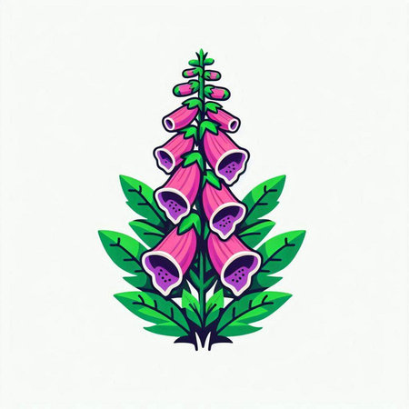 Foxglove. Digitalis purpurea. Vector illustration.のイラスト素材