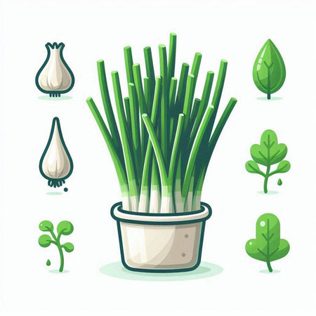Vector illustration of green onion in a pot isolated on white background.のイラスト素材