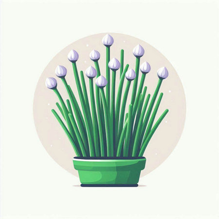 Vector illustration of a bunch of chives in a flower pot.のイラスト素材