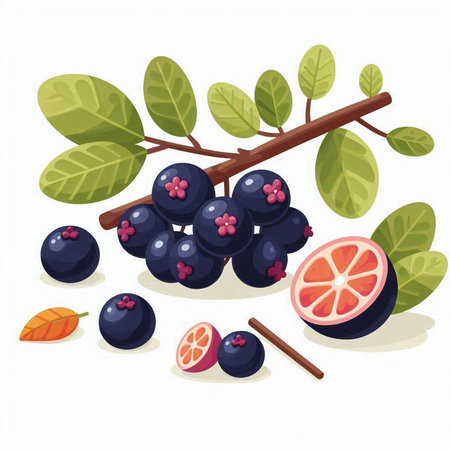 Berries of blueberry with leaves and cinnamon. Vector illustration.のイラスト素材