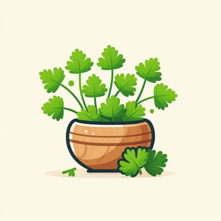Parsley in a pot. Vector illustration. Flat style.のイラスト素材