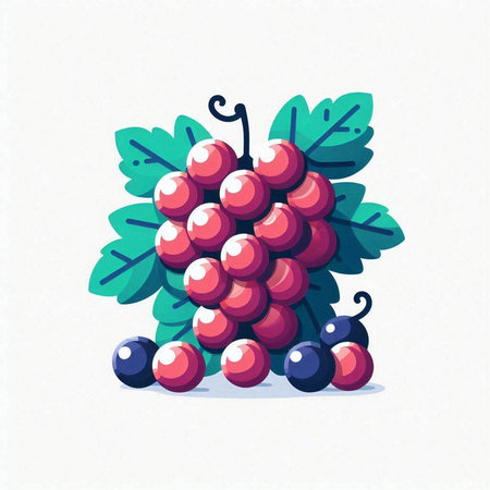 Grapes on a white background. Vector illustration in cartoon style.のイラスト素材