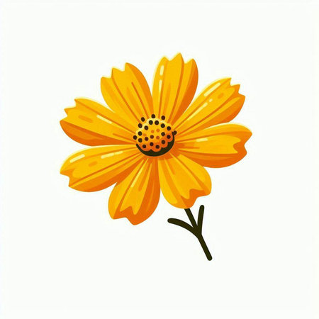 Vector illustration of yellow daisy. Isolated on white background.のイラスト素材