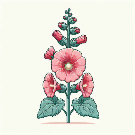 Hollyhock vector illustration. Hand drawn mallow flower.のイラスト素材