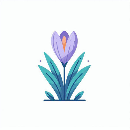 Crocuses. Spring flowers. Vector illustration in flat style.のイラスト素材