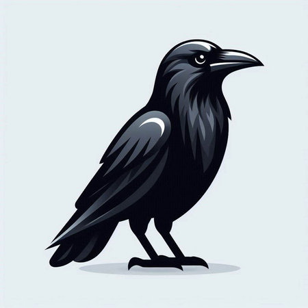 black crow on a white background, vector illustration, eps 10のイラスト素材
