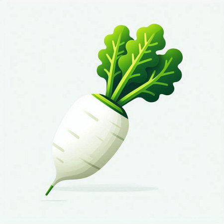 Radish with green leaves on a light background. Vector illustration.のイラスト素材