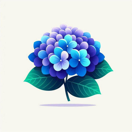 Blue hydrangea on a white background. Vector illustration.のイラスト素材
