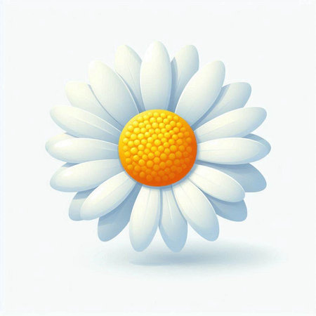 Illustration of a daisy on a white background with space for textのイラスト素材