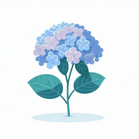Blue hydrangea flower on white background. Vector illustration.のイラスト素材