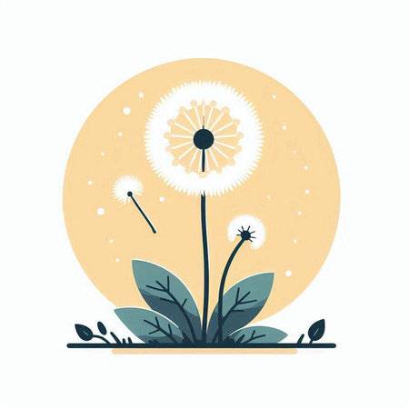Dandelion flower. Hand drawn vector illustration in flat style.のイラスト素材