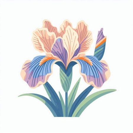 Beautiful iris flowers in a bouquet. Vector illustration.のイラスト素材