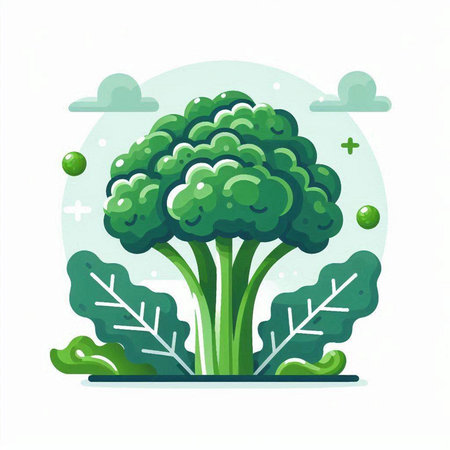 Vector illustration of broccoli in flat style. Vegetarian food concept.のイラスト素材