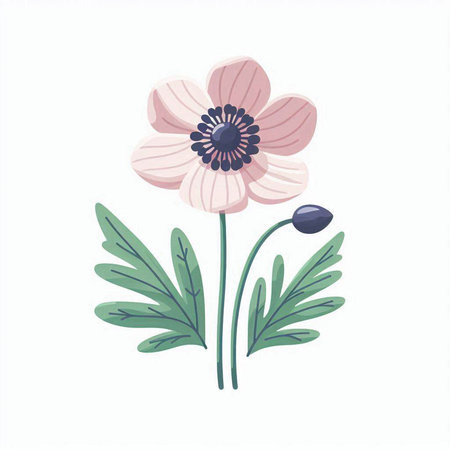 Anemone flower on white background. Hand drawn vector illustration in cartoon style.のイラスト素材