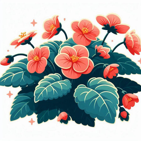 Illustration of a blooming red begonia on a white backgroundのイラスト素材
