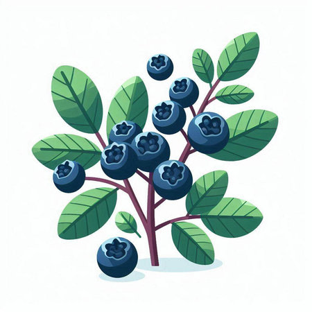 Bunch of ripe blueberries with green leaves. Vector illustration.のイラスト素材