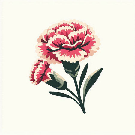 Carnation flower vector illustration. Hand drawn red and pink carnation.のイラスト素材