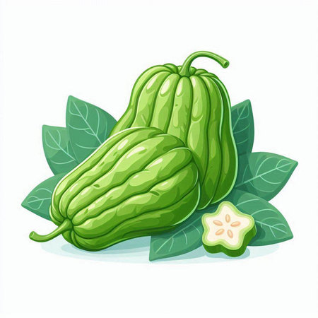 Fresh green papaya with leaves isolated on white background. Vector illustration.のイラスト素材