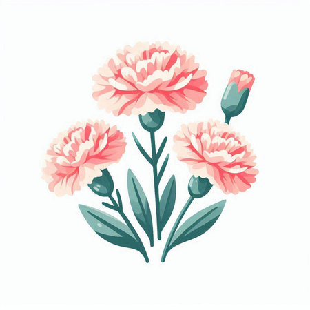Carnation flowers. Vector illustration of a bouquet of flowers.のイラスト素材