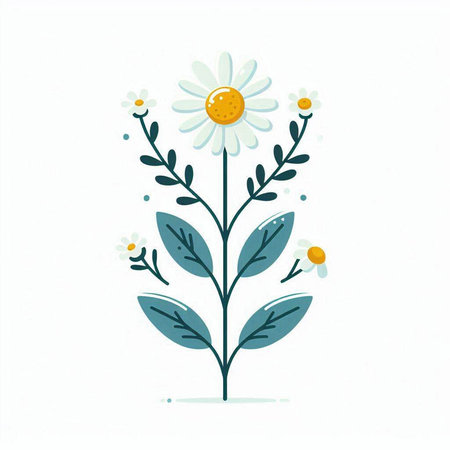 Chamomile flower with leaves. Hand drawn vector illustration.のイラスト素材