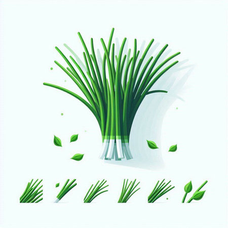 Vector illustration of fresh green onion on white background. Vector illustration.のイラスト素材
