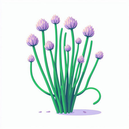 vector illustration of a bunch of purple chives on a white backgroundのイラスト素材