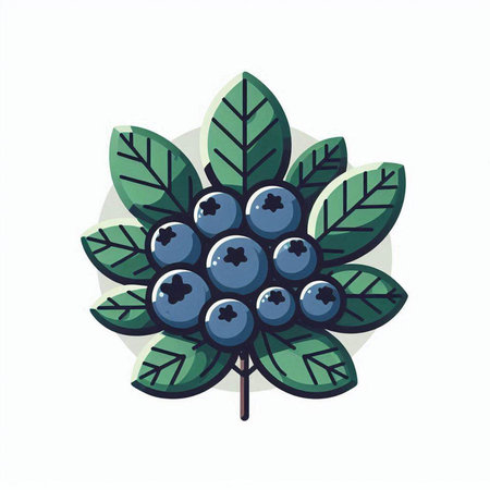 Blueberries on a branch with leaves. Vector illustration in cartoon style.のイラスト素材