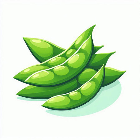 Fresh green soybeans isolated on a white background. Vector illustration.のイラスト素材