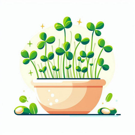 Microgreens in a pot on a white background. Vector illustration.のイラスト素材
