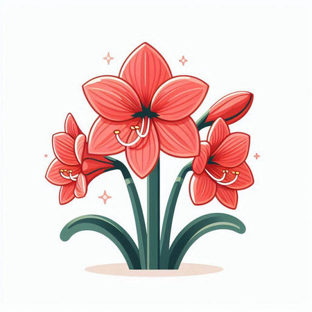 Beautiful red amaryllis flowers on white background. Vector illustration.のイラスト素材