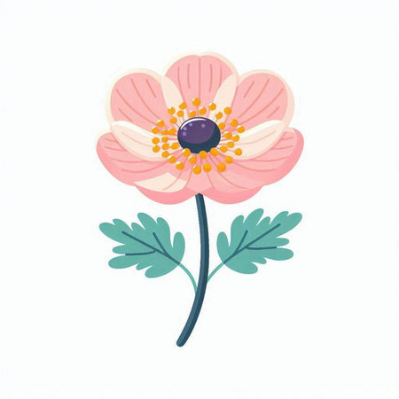 Hand drawn vector illustration of anemone isolated on white background.のイラスト素材