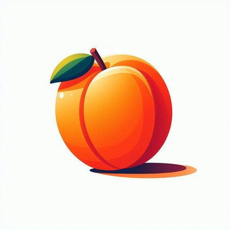 Apricot fruit isolated on a white background. Vector illustration.のイラスト素材