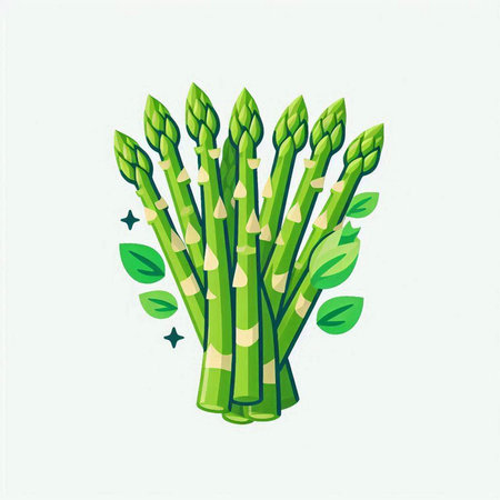 Bunch of fresh green asparagus with leaves. Vector illustration.のイラスト素材