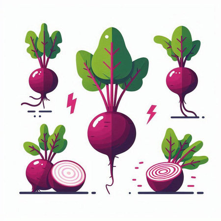 Set of vegetables. Beetroot. Vector illustration in flat style.のイラスト素材
