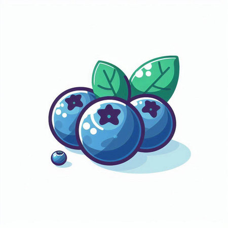 Blueberry with leaves and berries on white background. Vector illustration.のイラスト素材