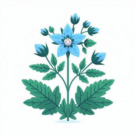 Illustration of a blue flower on a white background. Vector illustrationのイラスト素材