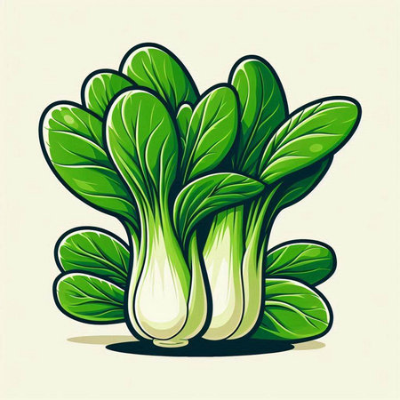 Bok choy, chinese cabbage. Vector illustration of fresh vegetable.のイラスト素材