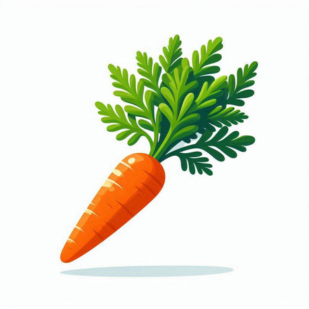 Carrot isolated on white background. Vector illustration. Eps 10.のイラスト素材