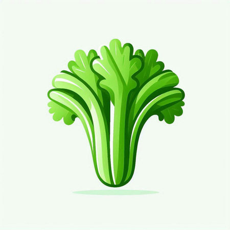 Celery icon isolated on white background. Vegetable vector illustration.のイラスト素材