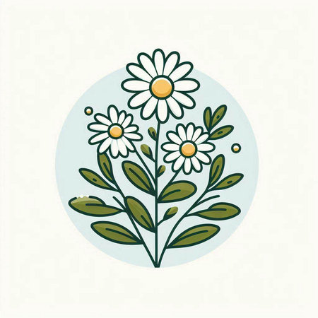 chamomile flower icon over white background, colorful design. vector illustrationのイラスト素材