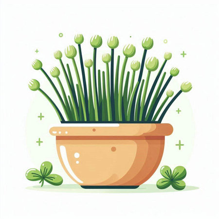 Flowerpot with chives and clover. Vector illustration.のイラスト素材