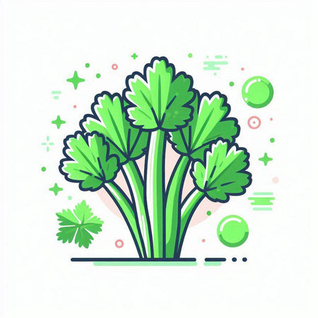 Bunch of parsley. Vector illustration in line art style.のイラスト素材