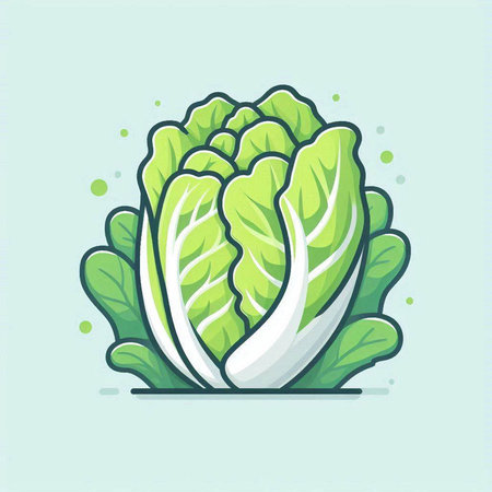 Lettuce icon. Cabbage vector illustration. Lettuce vector iconのイラスト素材
