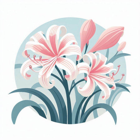 Illustration of lily flowers in a round frame on a white backgroundのイラスト素材