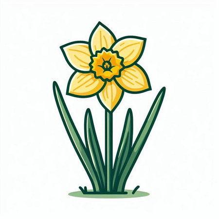 Daffodil flower icon isolated on white background. Vector illustration.のイラスト素材