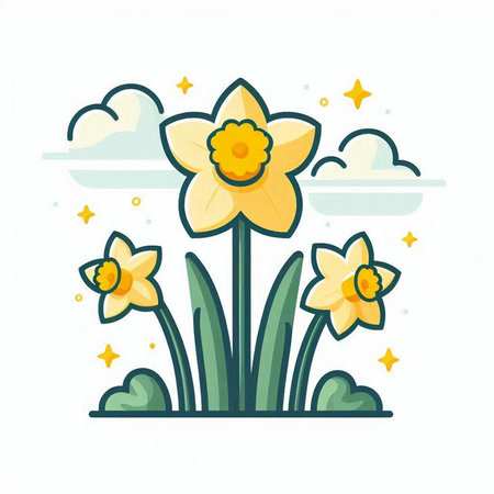Narcissus flower, daffodil vector illustration.のイラスト素材