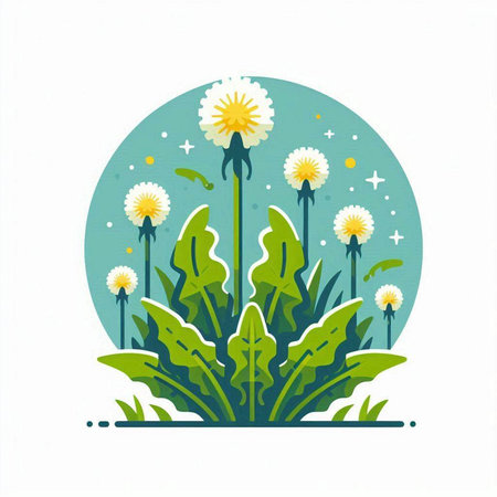 Dandelion flowers and dandelions in the circle. Vector illustration.のイラスト素材