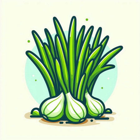 Illustration of a bunch of fresh green onion. Vector illustration.のイラスト素材