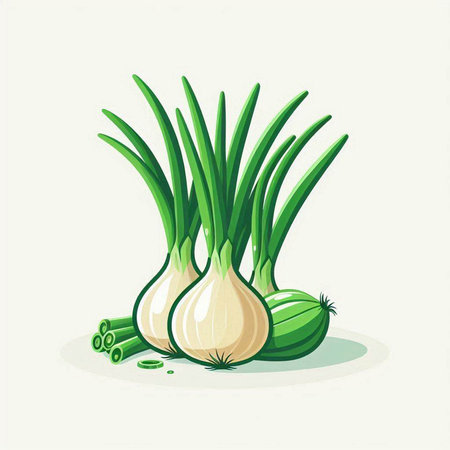 Vector illustration of fresh onion and green onion on a white background.のイラスト素材